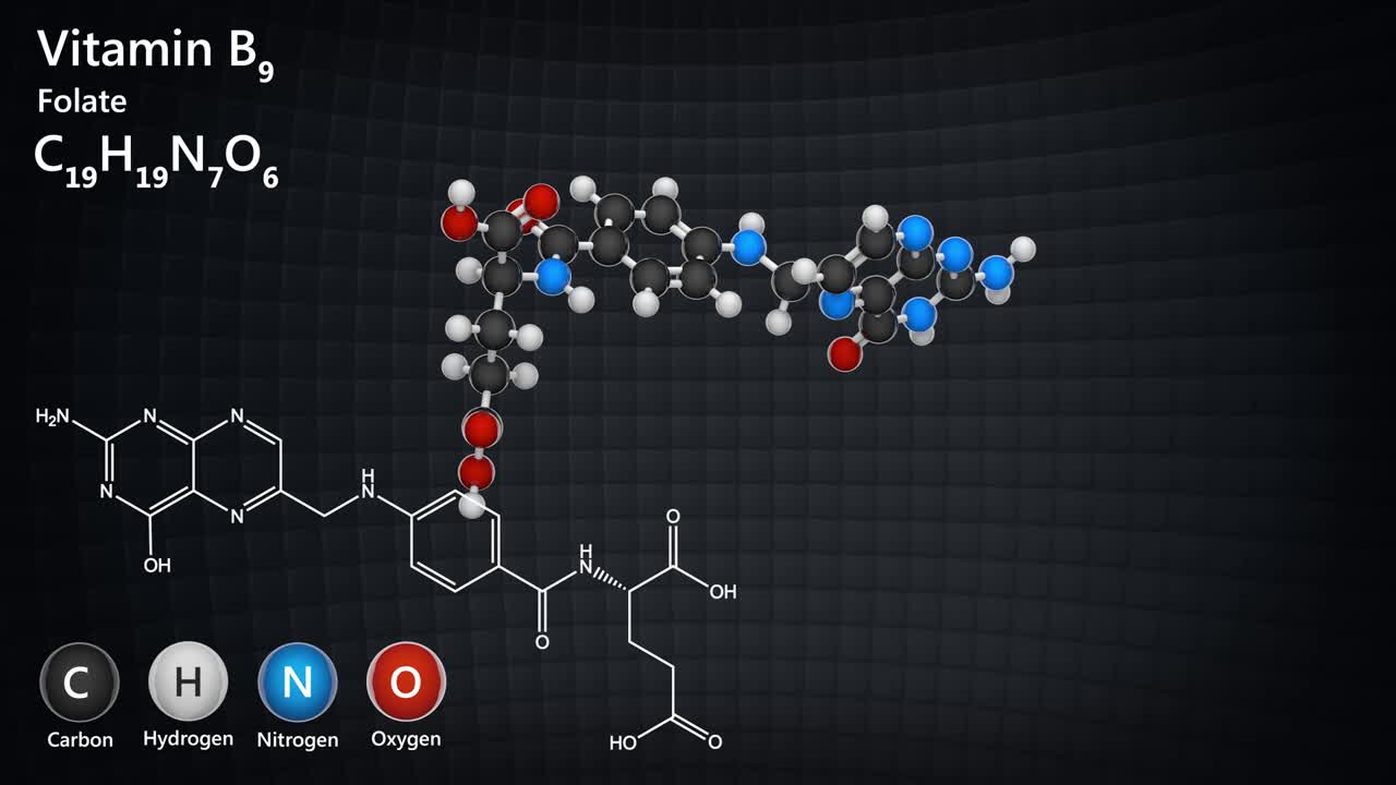 비타민 b9 (포레이트) - 원활한 순환