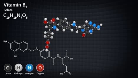 vitamin b9 (folate). seamless loop.