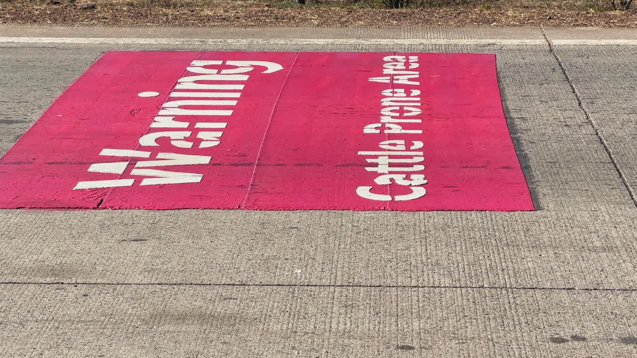 Vista próxima de uma roda de veículo em movimento rolando sobre uma marcação de estrada pintada no asfalto, capturando o desfoque de movimento, o movimento do tráfego urbano e detalhes de transporte à luz do dia.