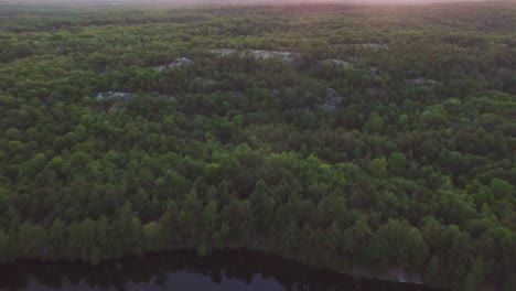 Disparo-Aéreo-De-Un-Dron-Volando-Hacia-Arriba-E-Inclinándose-Hacia-Abajo-Sobre-El-Bosque-Junto-Al-Lago-Charletston-En-Ontario