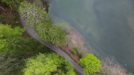 Drone-head-Shot-road-of-the-shore-Klöntalersee-Glarus-Kanton-lake,-Switzerland