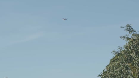 A-drone-drifts-skyward-and-flies-overhead-filming-the-panoramic-view-of-in-a-country-garden-in-Italy-in-the-late-afternoon