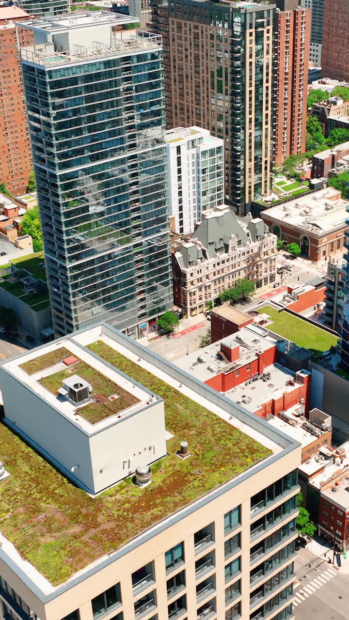 Aerial view of the downtown Chicago skyline. Roofs of houses with grass. The city on a bright sunny day. Vertical video