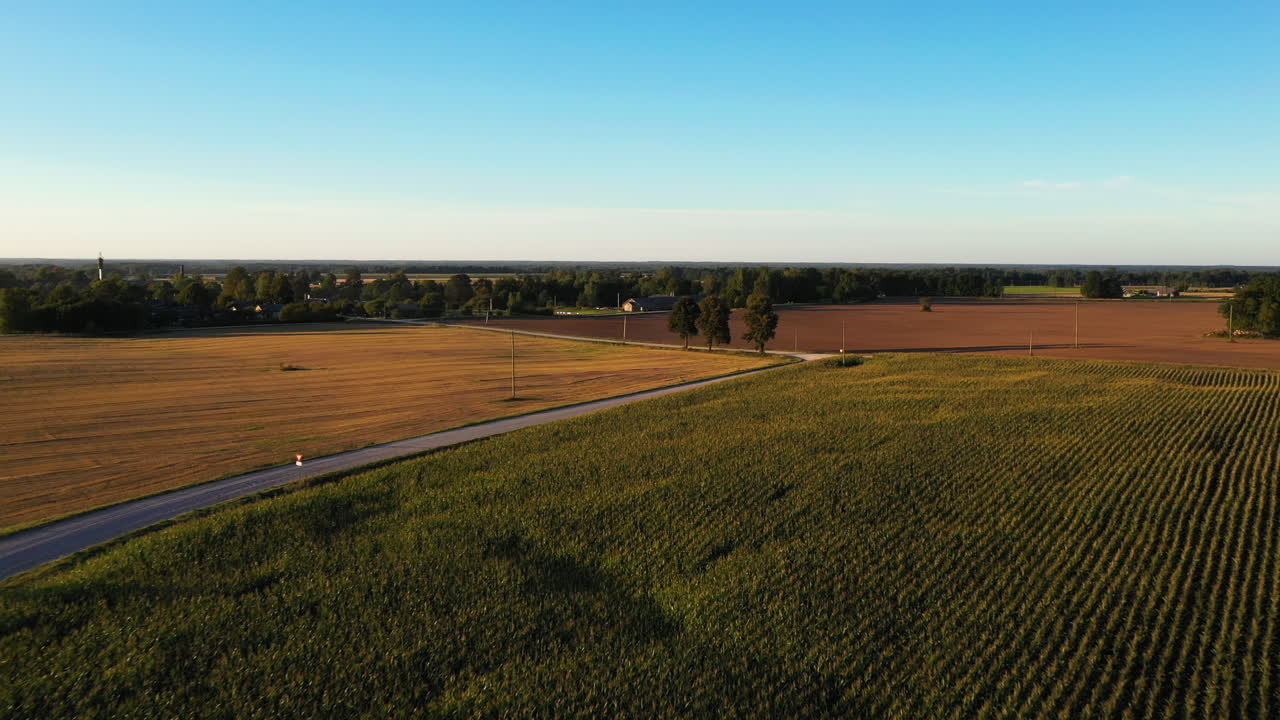Rural country road and endless farmland fields, aerial drone view