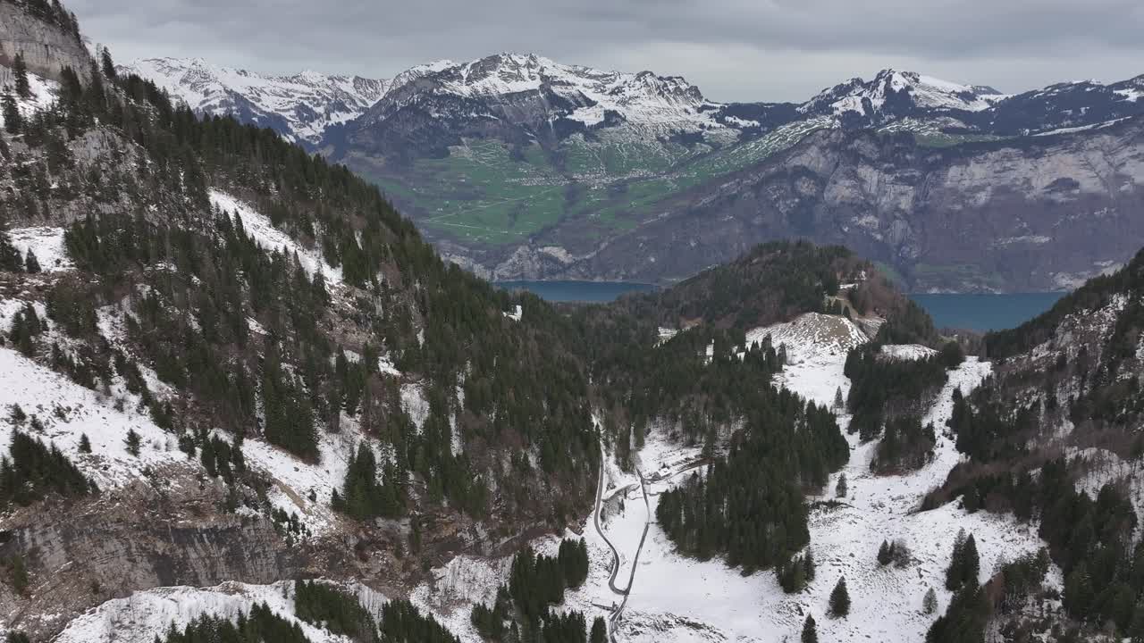 aerial de nieve cubierta valle de montaña esparcida con pinos verdes y lago azul en el fondo