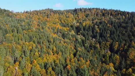 Hermosa-Vista-Aérea-Del-Bosque-De-Follaje-Otoñal-Durante-La-Temporada-De-Otoño-En-La-Montaña