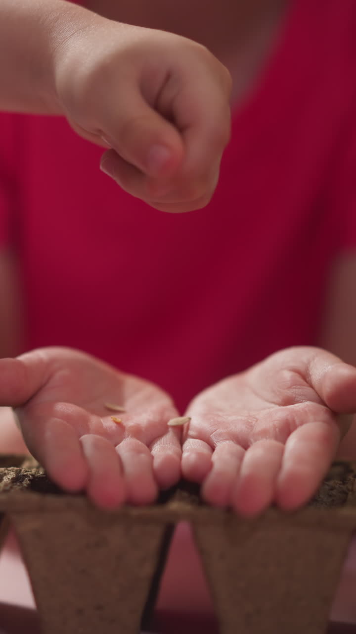 little children plant houseplants in peat pots, boy pours seeds into girl's hands