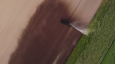 top view of a farm sprinkler watering green crops at the field