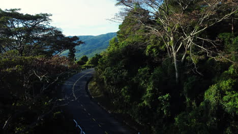 Rising-Drone-shot-of-Vietnamese-Jungle-and-Road-leading-up-to-it