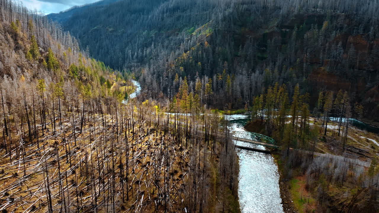 Oregon wilderness on sunny day. Multiple dry pine trees cover the rocky landscape. Drone footage along the rivers flowing in the mountains.