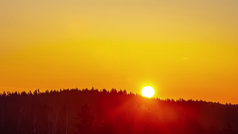 A-bright-orange-sun-rises-behind-the-trees-of-a-large-forest-and-colors-the-sky