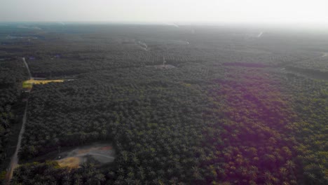 Cinematic-4K-Drone-Footage-of-Onshore-Drilling-Rig-equipment-structure-for-oil-exploration-and-exploitation-in-the-middle-of-jungle-surrounded-by-palm-oil-trees-during-sunset-and-high-oil-price