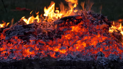 hot wood charcoal burning. closeup of fire burning