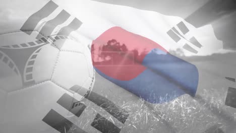 animation of flag of korea and football over stadium