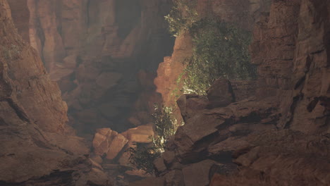 cave interior with vegetation