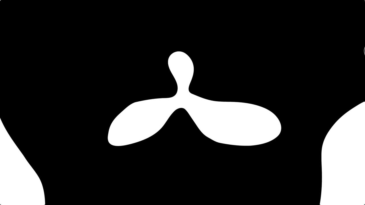 Abstract Funky Black And White Liquid Animation Background