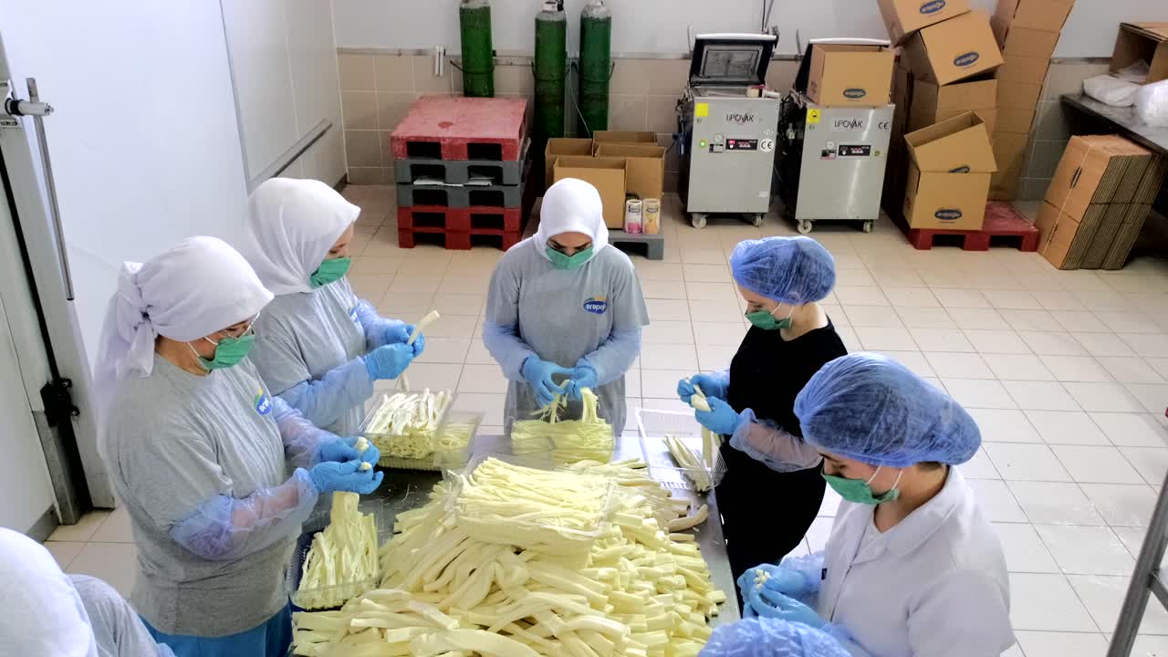 proceso de fabricación de queso cheddar lechero mujer trabajadora