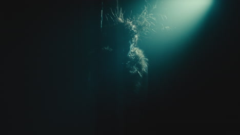a creepy witch stands in the moody pose during the night storm