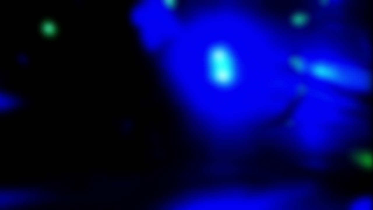 크리스마스 조명 흐릿한 비디오, 저녁에 편안한 분위기, 축제 시간, 휴일 개념.