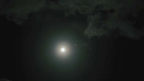 qué hermosa luna llena.