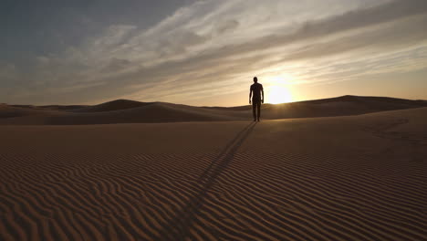 silhouette of a person standing on vast desert dunes at sunset