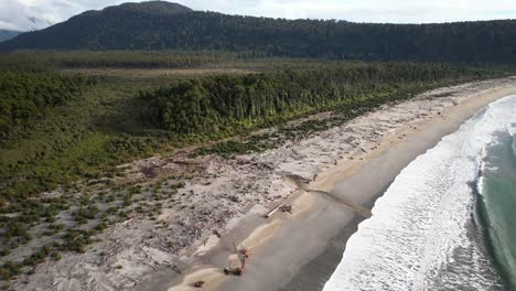 aerial view of maori beach with dense rimu trees and driftwoods in south island, new zealand