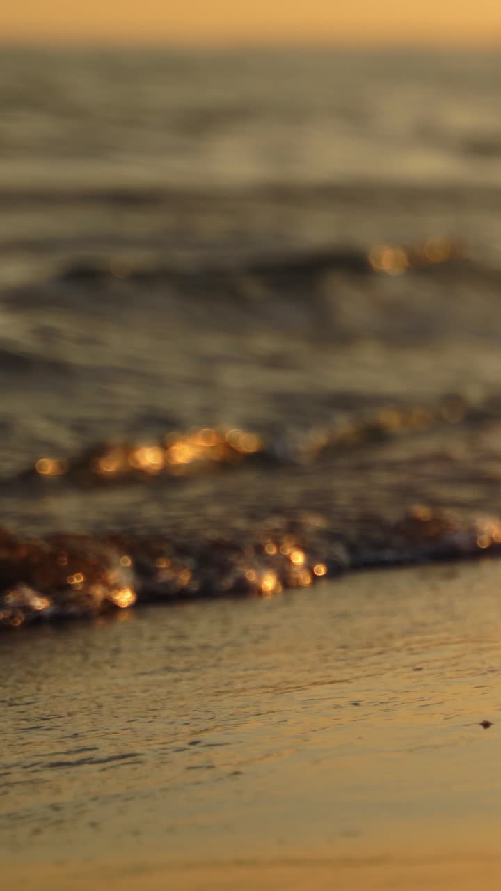 Sea wave close up. Golden sand and sea wave with foam Vertical video
