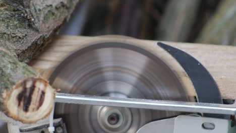 cutting tree branches on saw blade for firewood.