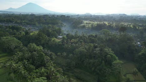 escena del volcán y la terraza de arroz cerca de ubud en bali, indonesia