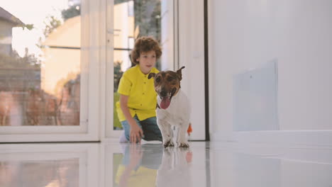 blond boy with curly hair kneeling on the floor while playing with his dog