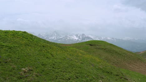 las montañas verdes revelaron el macizo de chamonix-mont-blanc de la región de auvergne rhone alpes en francia