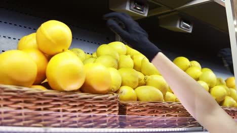 Close up of female worker in black gloves stocking the lemons in supermarket. Young employee at work. Curly female arranging lemons on shelf. Slow motion