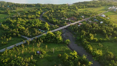 palm trees and rural road through the village of timbaan in the municipality of san andres, province of catanduanes, philippines. aerial shot