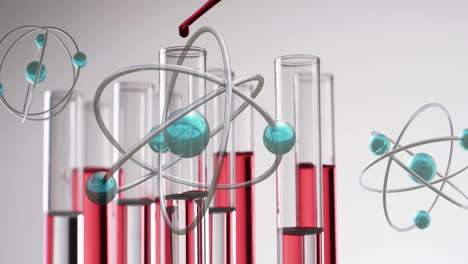 animación de moléculas sobre platos de laboratorio de tubo de ensayo en fondo gris
