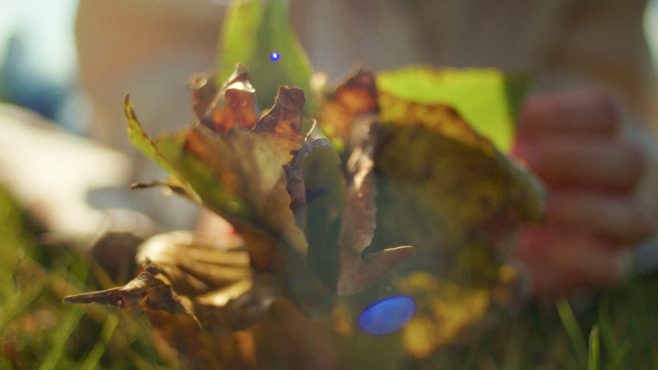 Woman and Leaves in Natural Light