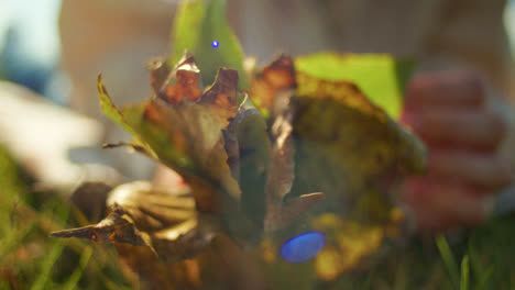 woman and leaves in natural light
