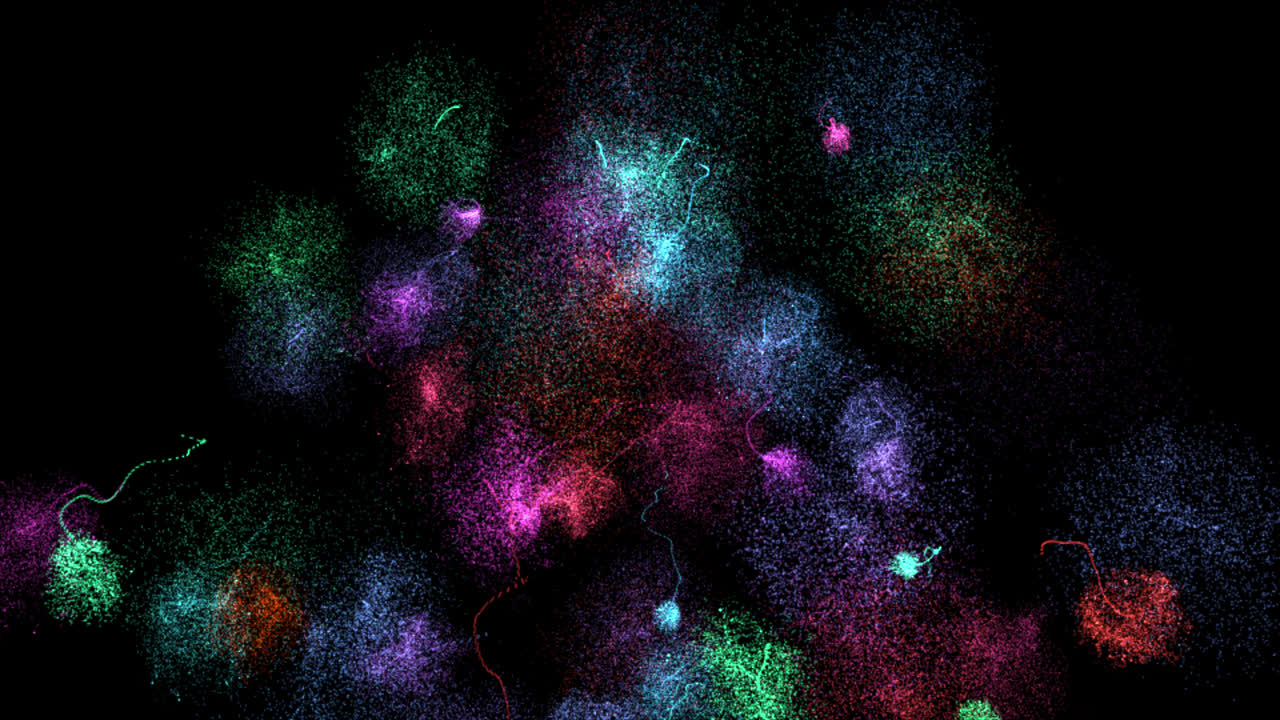 Abstract Colorful Particle Explosion
