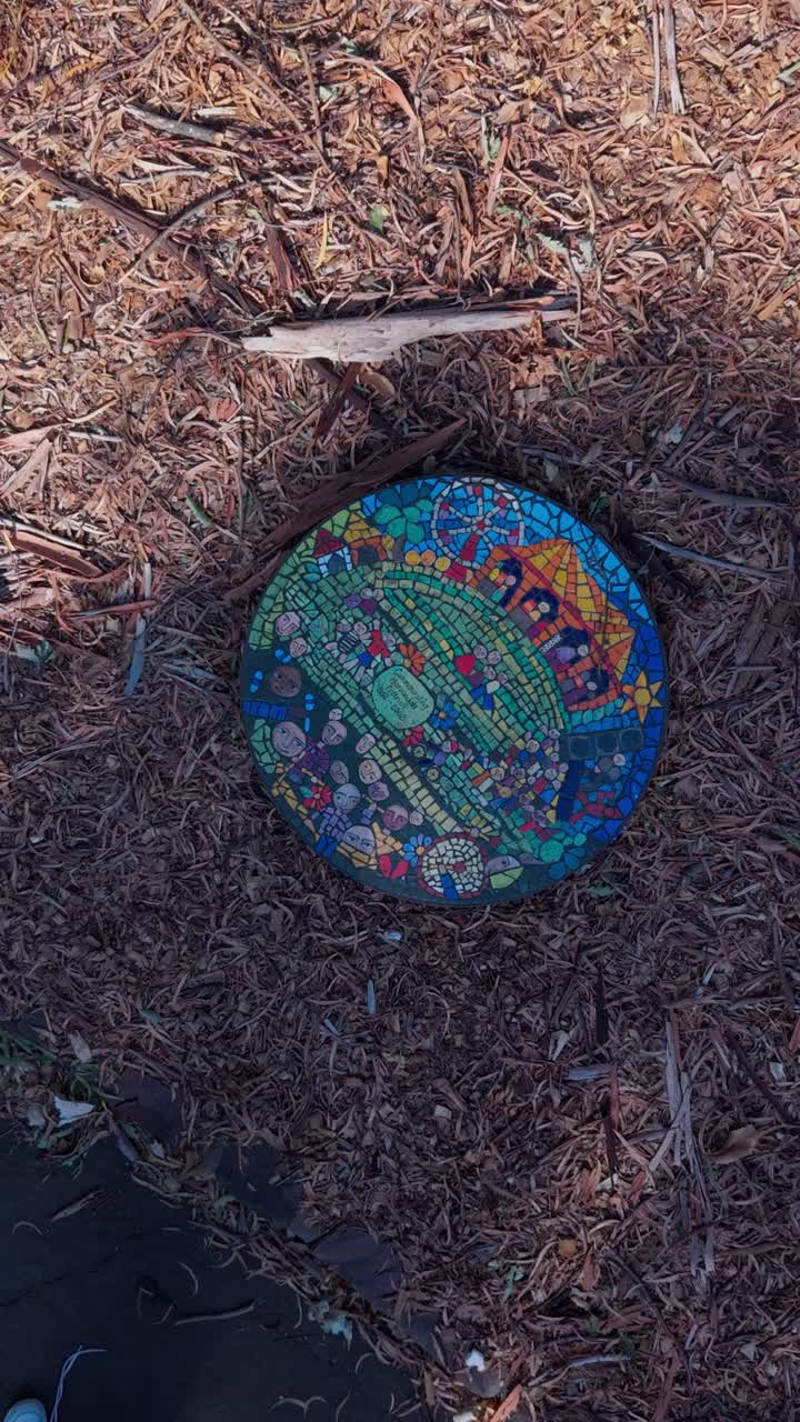 Esplora questa vivace opera d'arte a mosaico circolare ambientata su uno sfondo naturale. Il design colorato contrasta con l'ambiente terroso. Perfetto per riprese video verticali