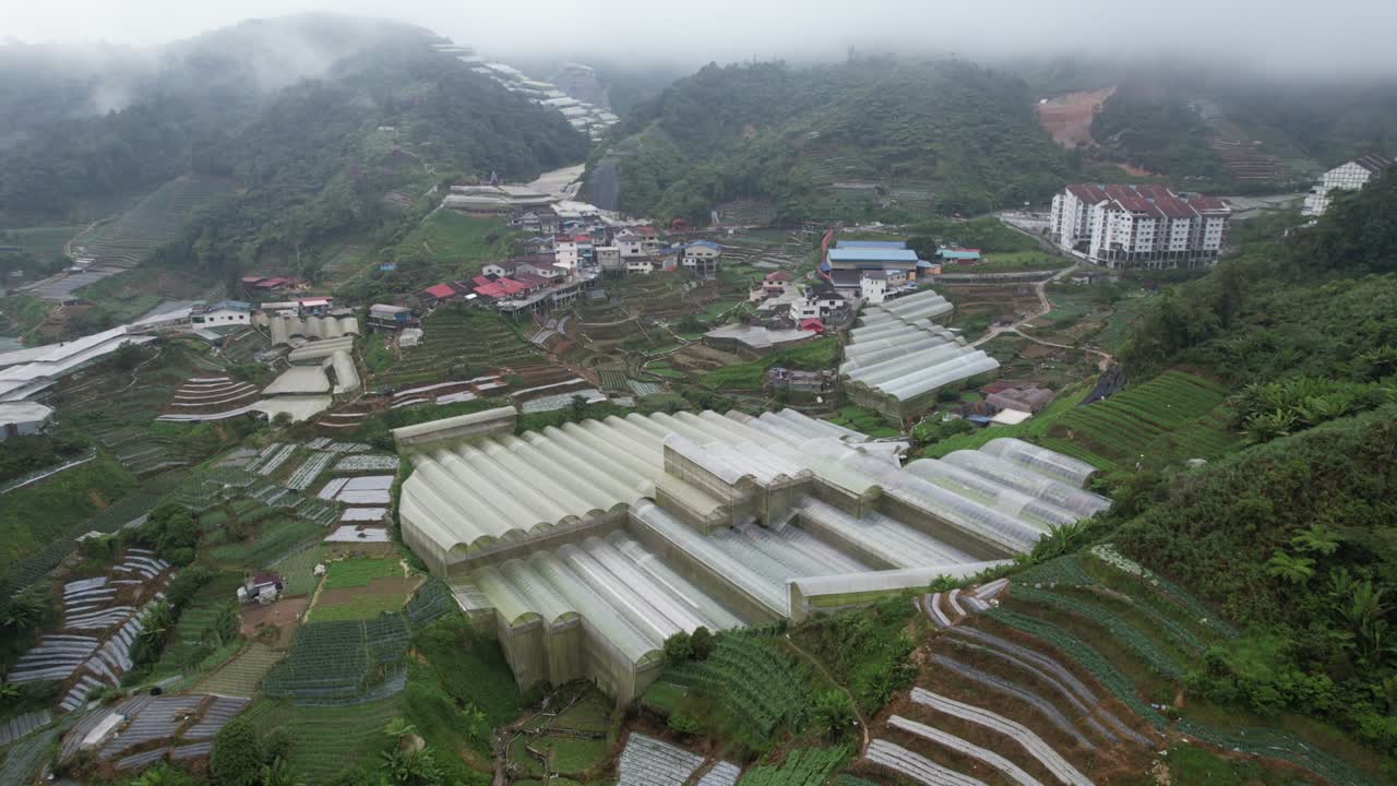말레이시아의 카메론 하이랜드 지역 내의 브린창 지역의 일반 풍경