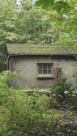 abandoned cottage in the woods