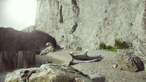 a tranquil beach scene with a cliff and driftwood