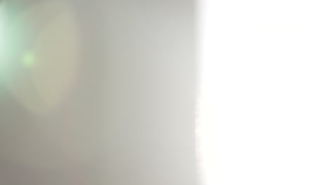 sun flare in the lens; 50 fps slowed to 25