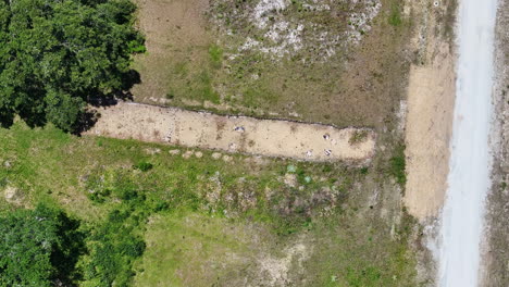tomada aérea de la excavación arqueológica del sitio de la aldea nativa americana