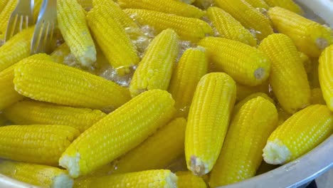 close-up view of bright yellow corn cobs being boiled in a large pot of water.