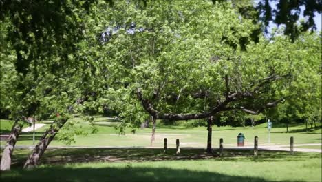 serene park landscape