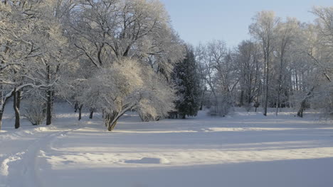 Winter-scenery-of-northen-Europe-with-snowy-road-and-frosty-trees