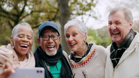 Selfie,-Risas-Y-Grupo-De-Personas-Mayores