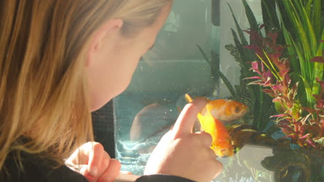 Girl-Looking-At-Pet-Fish-In-Aquarium