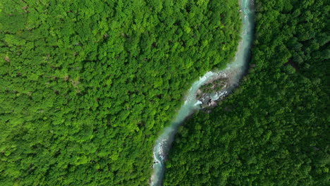 a bird's eye view of a wild mountain river of pure greenish color