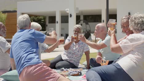 happy diverse senior friends drinking a toast at picnic in sunny garden, unaltered, in slow motion